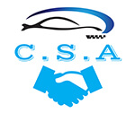 City South Automotive Services’s Logo